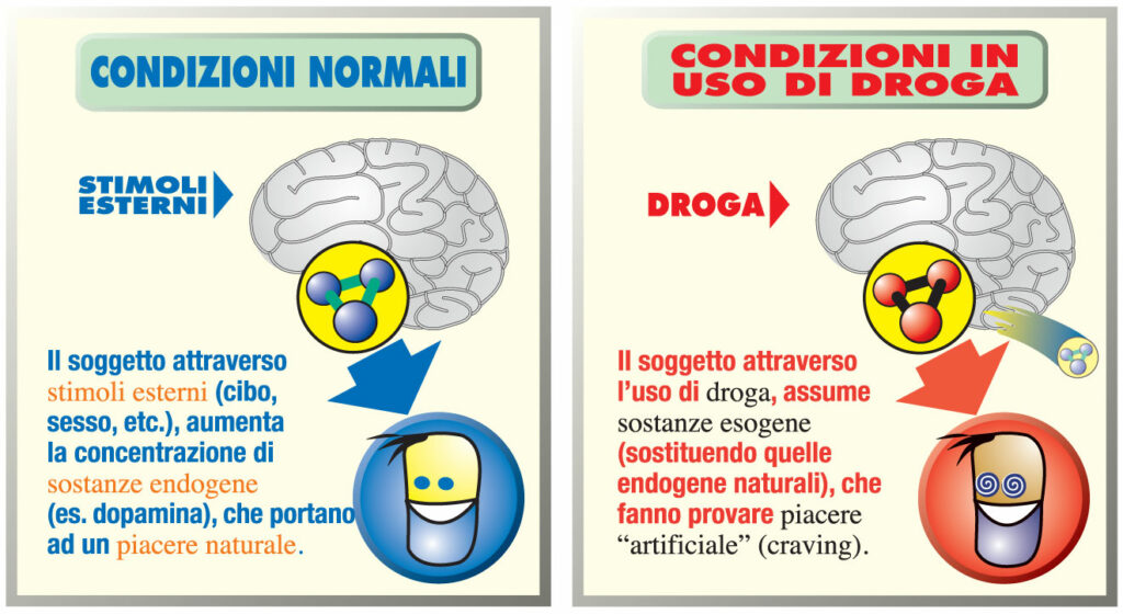 CD-il-farmaco9